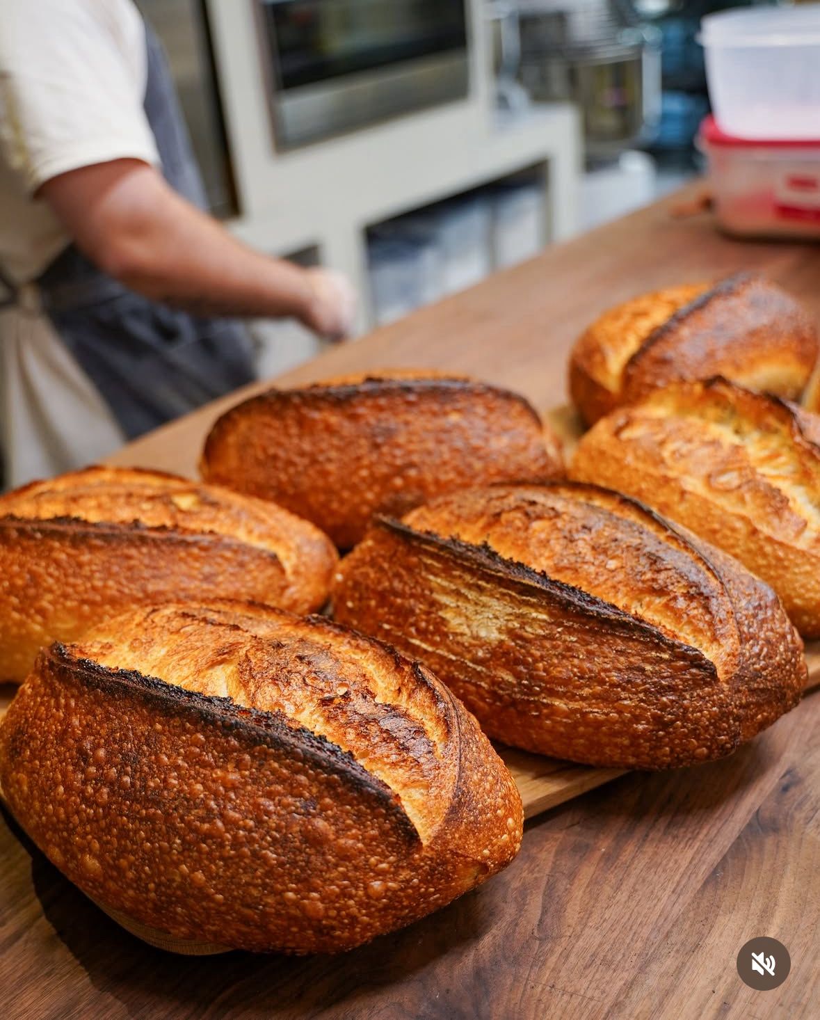 What We Do at Rise Baking Lab