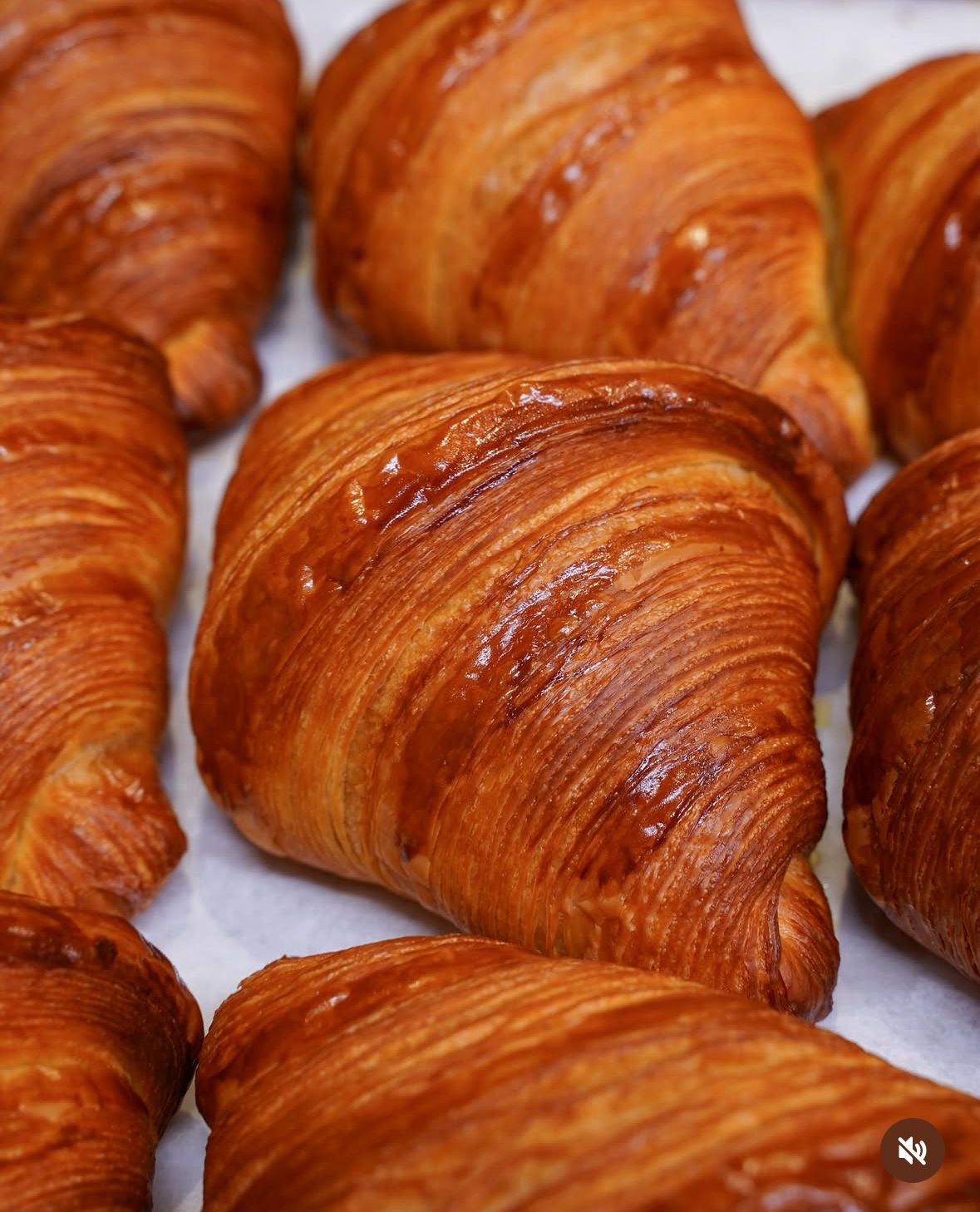 Contact Rise Baking Lab